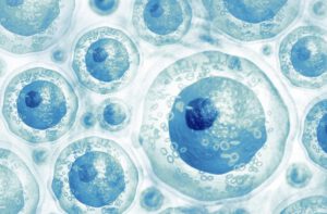 Co may loai te bao goc